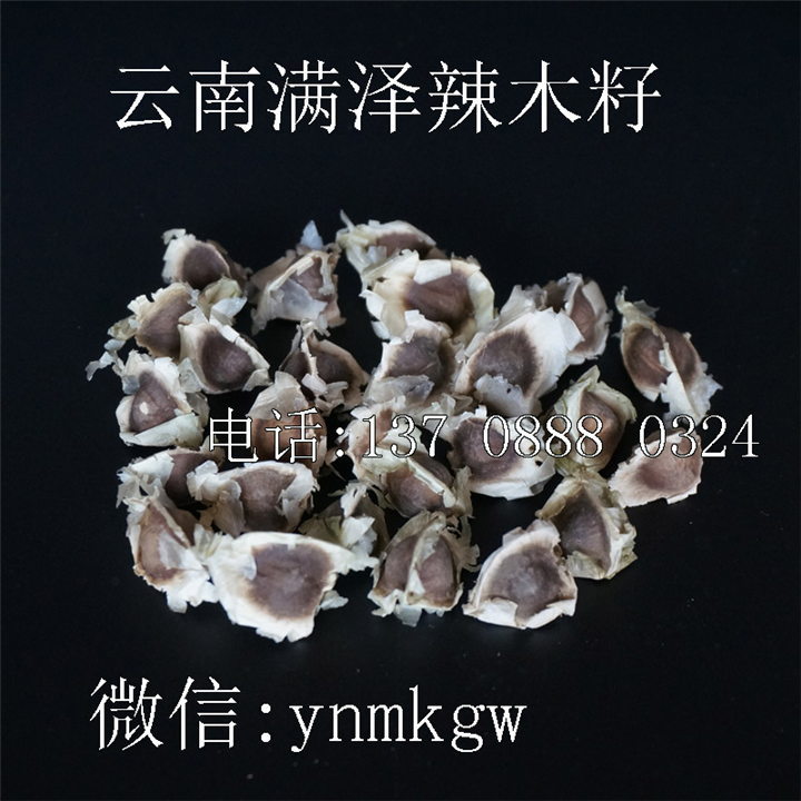 辣木籽怎么吃，辣木籽批发供应商 