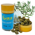 霍山铁皮石斛的介绍，铁皮石斛枫斗批发 