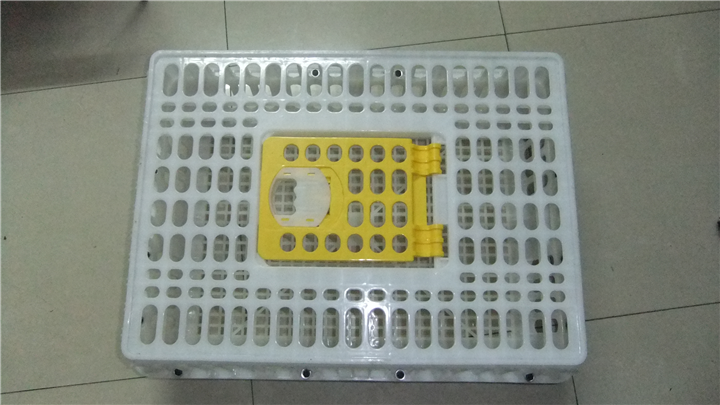 塑胶鸡笼价格 