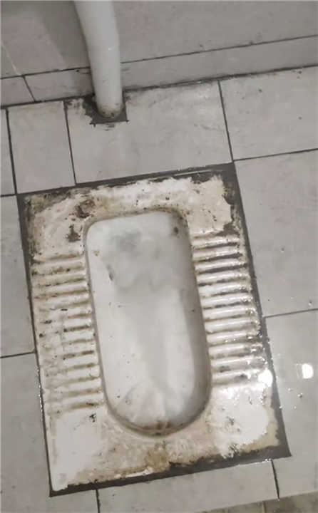 黄骅小区居民疏通管道多少钱