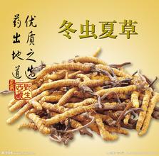 阜阳回收冬虫夏草对呼吸系统的作用 