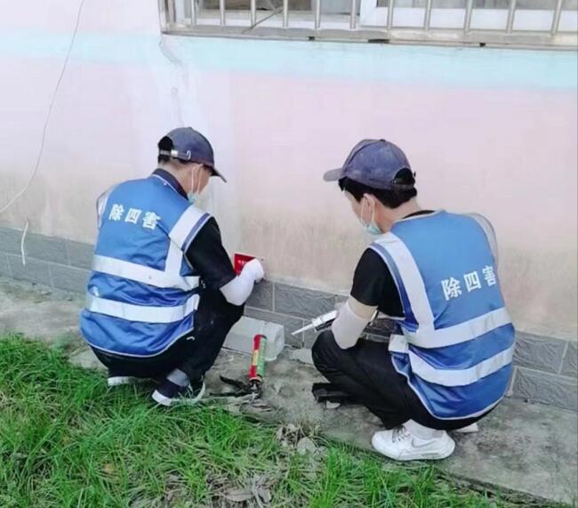 武汉灭鼠公司灭四害小技巧有哪些