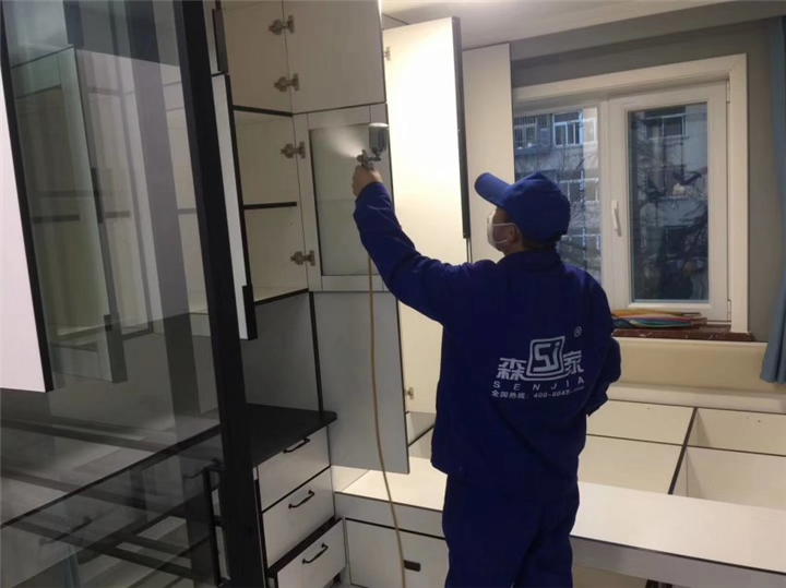 绍兴除甲醛公司哪家好