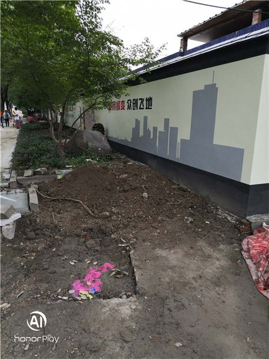 杭州杰羽墙绘作品01 