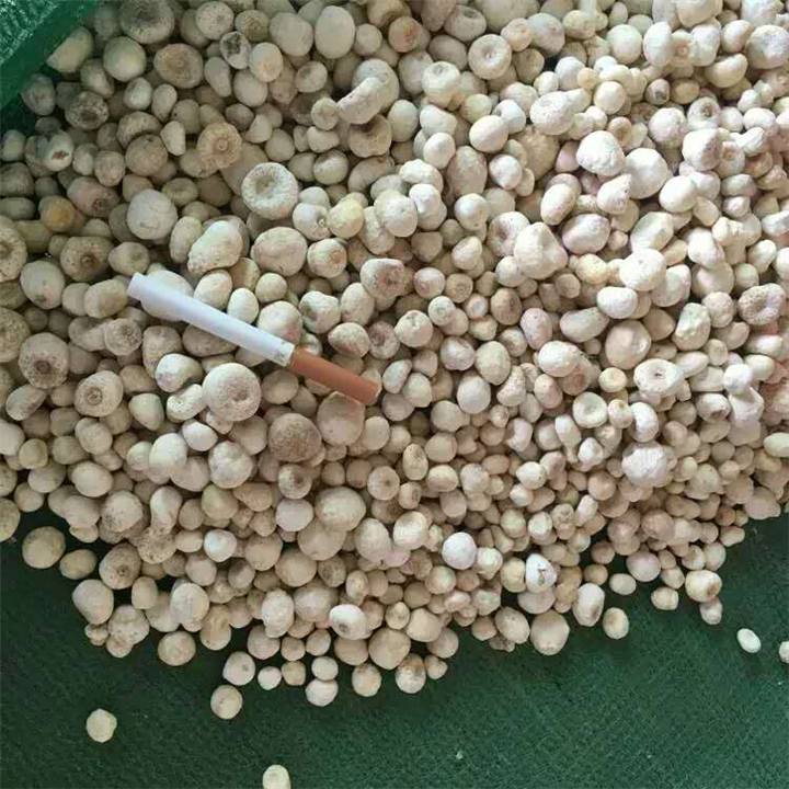 都匀【半夏干货】批发厂家 