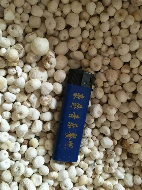 铜仁市江口县半夏干货批发电话 