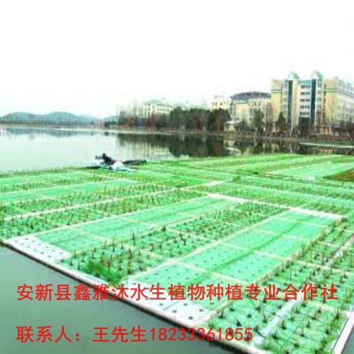 18233361855成都市【人工浮岛】制作 