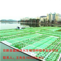 西安市【人工浮岛】制作方法18233361855 