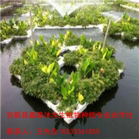 晋城市【人工浮岛种植】制作销售厂家 