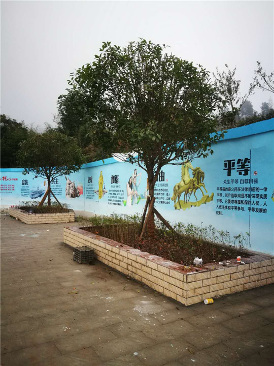 重庆手绘墙#重庆彩绘 