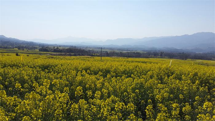 田野牧歌式的快乐--醉美界头 
