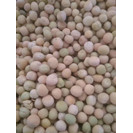 张掖白豌豆批发代办