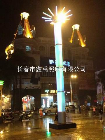 长春路灯批发%长春景观灯厂家