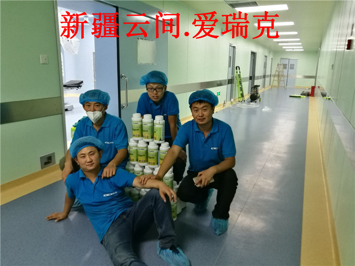 乌鲁木齐植物除甲醛 
