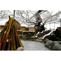 生态农业+乡村旅游