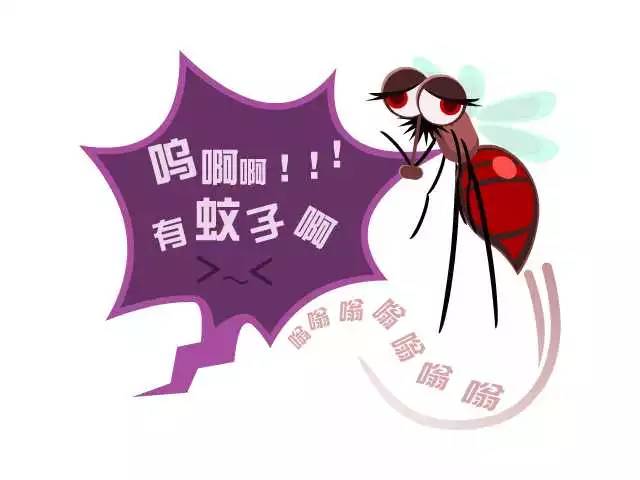 【珠海灭蚊子|珠海蚊子防治|珠海除蚊子】 