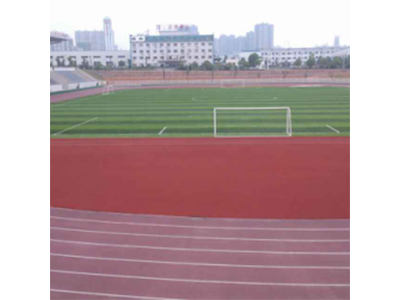 湘潭灭鼠公司