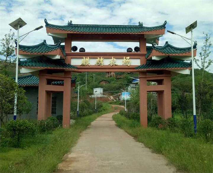 湘潭灭鼠公司