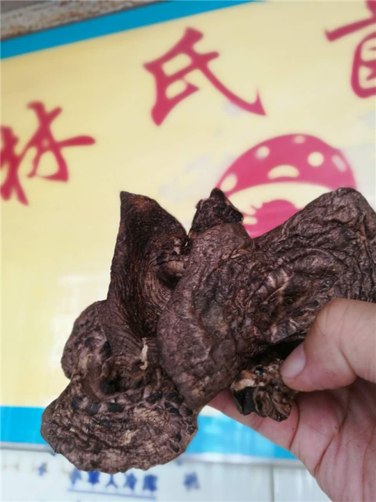 黑虎掌 