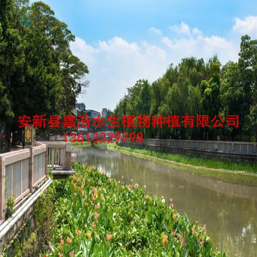 长治市人工浮岛制作厂家/长治市生态浮岛制作 