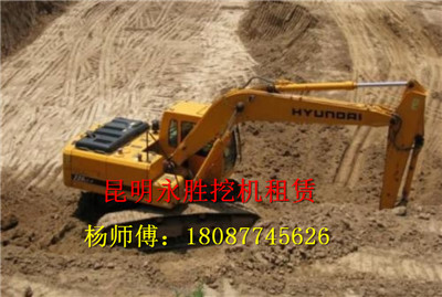 昆明挖掘机租赁- 昆明挖机出租电话-