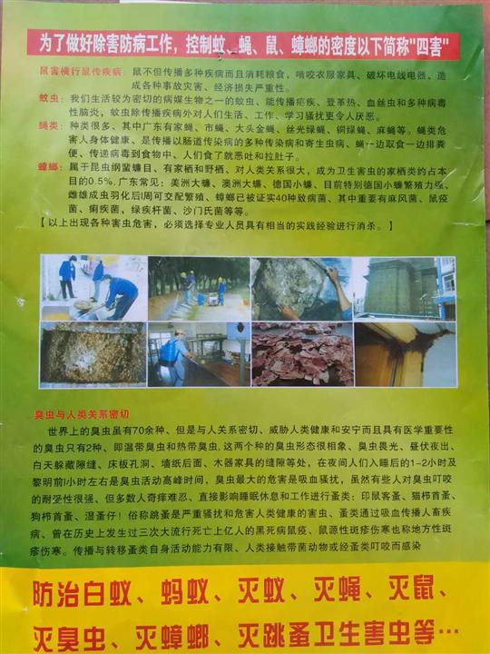 &&佛山市灭白蚁 