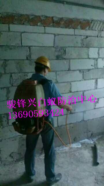 ##佛山专业灭白蚁 