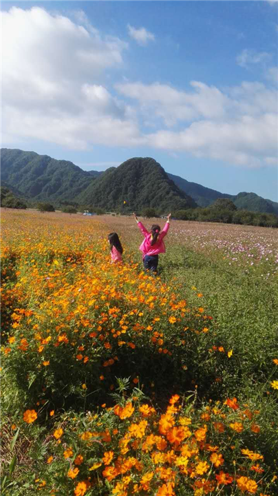 神龙架旅游包车 