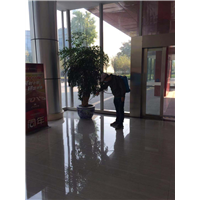 遂宁灭鼠公司老鼠 