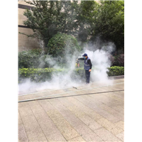 金堂灭鼠公司坎精 