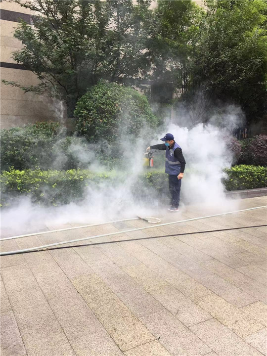 温江灭鼠公司米老鼠 
