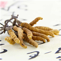 德州购物卡回收|德州冬虫夏草回收 