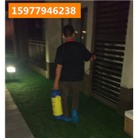 玉林灭蟑螂、夏季如何防止蟑螂快速繁殖、康宁专业预防中心 