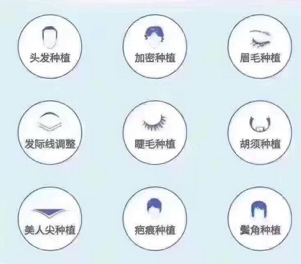 盘锦学习毛发移植哪家好