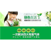 西宁甲醛治理 