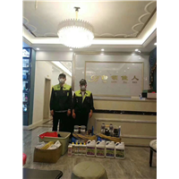 白领佳人甲醛治理