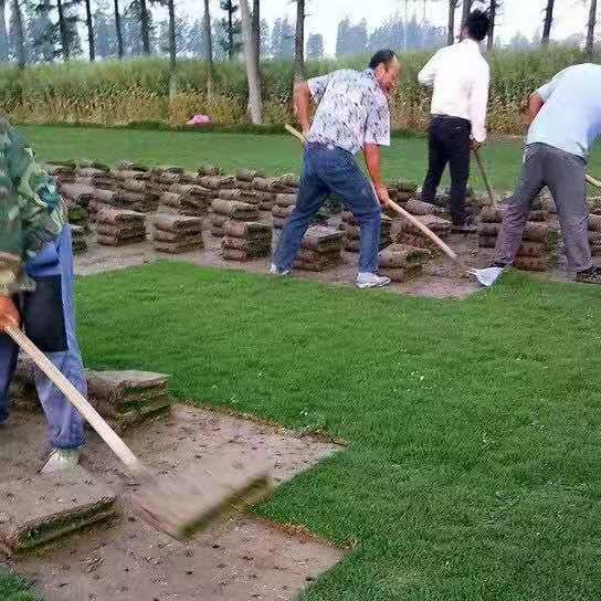 宁德马尼拉