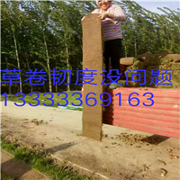滨州草坪|滨州绿化草坪卷 