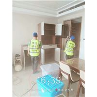 广州灭蟑螂**有效的方法及服