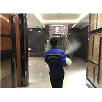 宁海白蚁防治公司