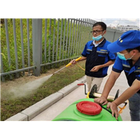 宁海灭白蚁公司