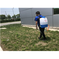 宁海灭白蚁公司电话