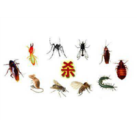 聊城白蚁防治 