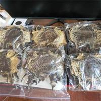山东蟾蜍养殖基地在哪里