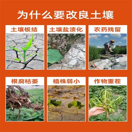 兰州土壤治理哪家更专业