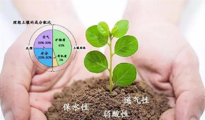 兰州土壤改良厂家