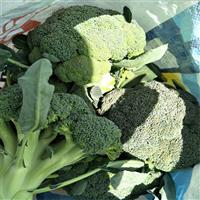 邯郸蔬菜代办批发基地