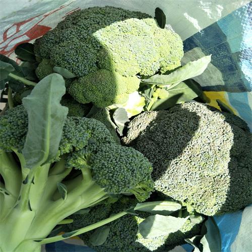 邯郸蔬菜代办批发基地