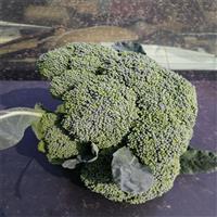 邯郸西兰花代办代收