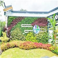 广东展园植物墙